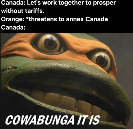 Canada: Let's work together to prosper without tariffs. USA: *threatens to annex Canada*. Canada: Cowabunga it is meme