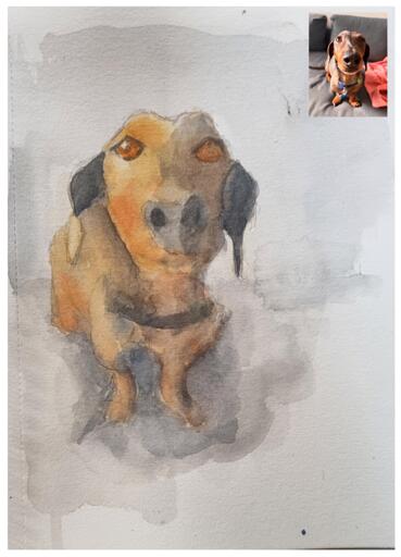 Watercolor painting of a sausage dog with the reference photo in the top right corner.