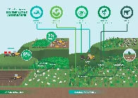 Opinion - Going Carnivore - Decision Tree