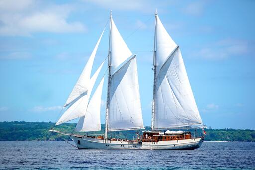 Sail schooner