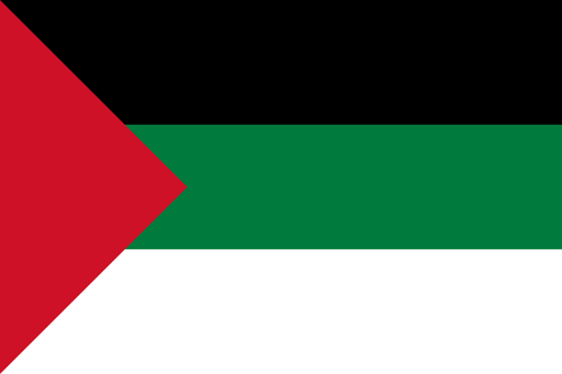 A flag with black, green and white, with a red triangle on the side.