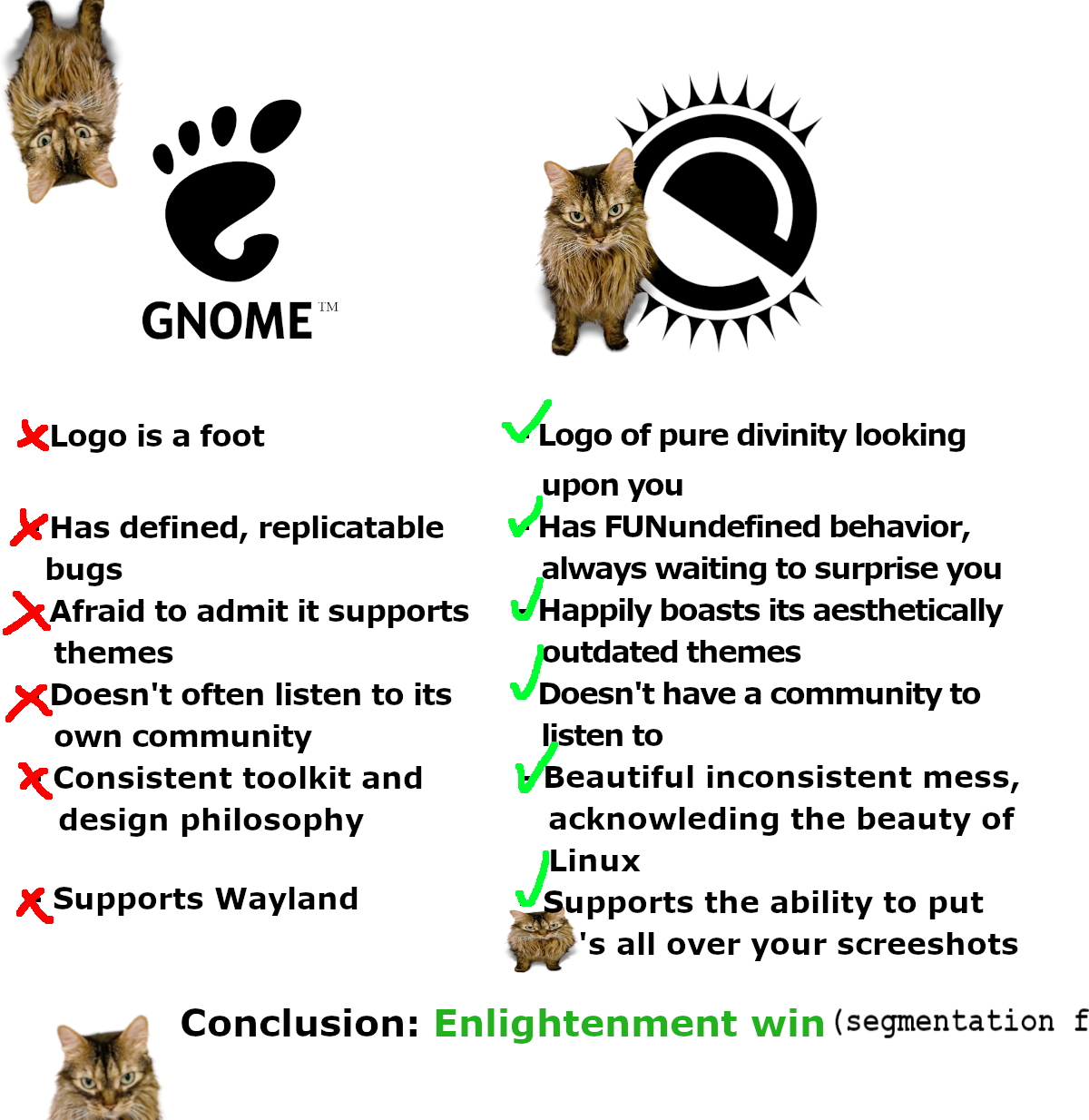 Left side (GNOME):  - Logo is a foot - Has defined, replicatable bugs - Afraid to admit it supports themes - Doesn't often listen to its own community - Consistent toolkit and design philosophy - Supports Wayland  Right side (Enlightenment):  - Logo of pure divinity looking upon you - Has FUNundefined behavior, always waiting to surprise you - Happily boasts its aesthetically outdated themes - Doesn't have a community to listen to - Beautiful inconsistent mess, acknowleding the beauty of Linux - Supports the ability to put [picture of malloc]'s all over your screeshots  Conclusion: Enlightenment Win (segmentaton f [text cuts off]  There are Malloc's, a brown-ish tabby cat, scattered across the screen