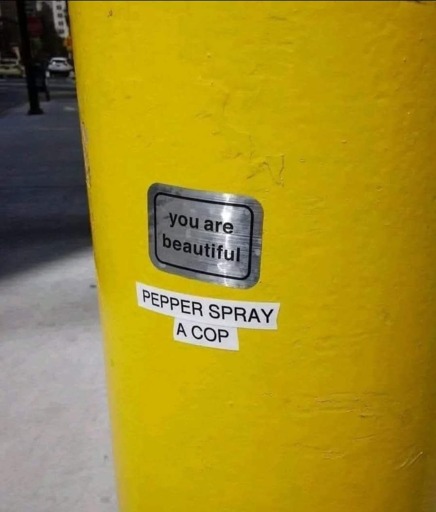 Yellow lamp post with sticker that reads "you are beautiful" above a second sticker that reads "pepper spray a cop"