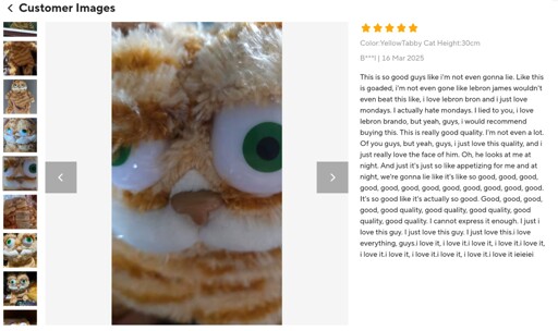 a picture of a Garfield toy on Aliexpress, with a review stating: This is so good guys like i'm not even gonna lie. Like this is goaded, i'm not even gone like lebron james wouldn't even beat this like, i love lebron bron and i just love mondays. I actually hate mondays. I lied to you, i love lebron brando, but yeah, guys, i would recommend buying this. This is really good quality. I'm not even a lot. Of you guys, but yeah, guys, i just love this quality, and i just really love the face of him. Oh, he looks at me at night. And just it's just so like appetizing for me and at night, we're gonna lie like it's like so good, good, good, good, good, good, good, good, good, good, good, good. It's so good like it's actually so good. Good, good, good, good, good quality, good quality, good quality, good quality, good quality. I cannot express it enough. I just i love this guy. I just love this guy. I just love this.i love everything, guys.i love it, i love it.i love it, i love it.i love it, i love it.i love it, i love it.i love it, i love it.i love it ieieiei